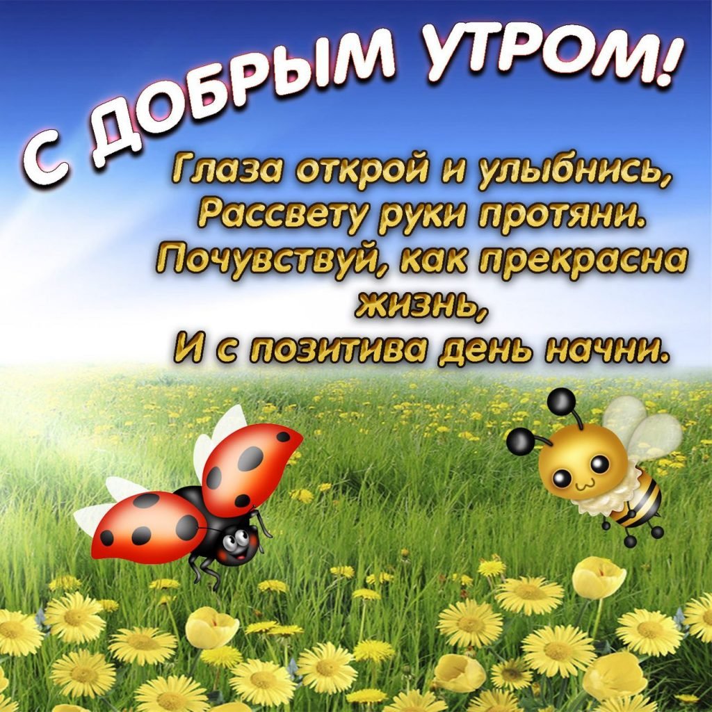 Просыпаемся улыбаемся с добрым утром