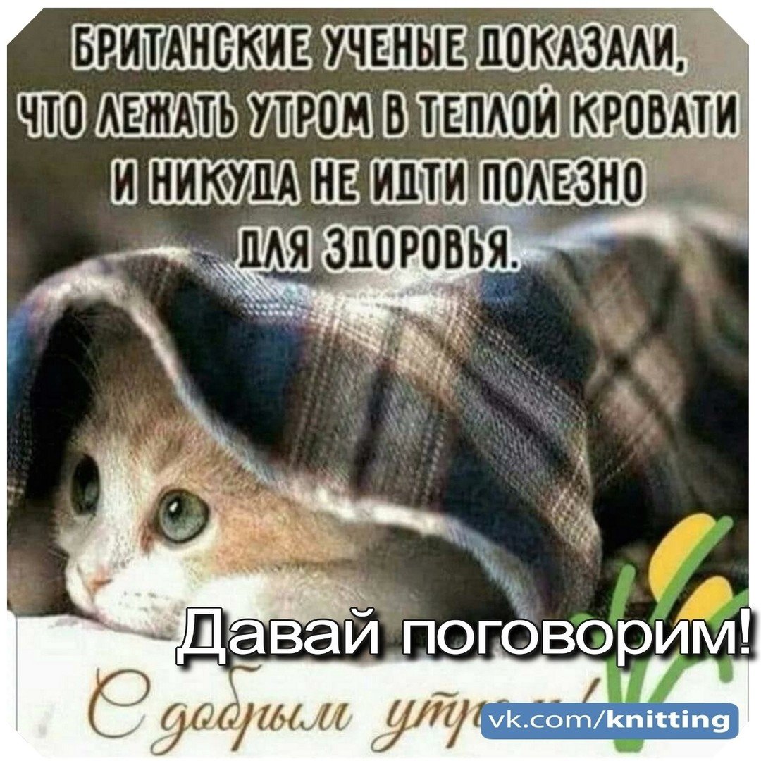 Прикольные фразы с добрым утром