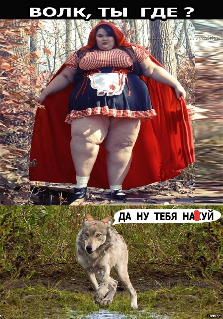 Толстая краснаяэшапочка