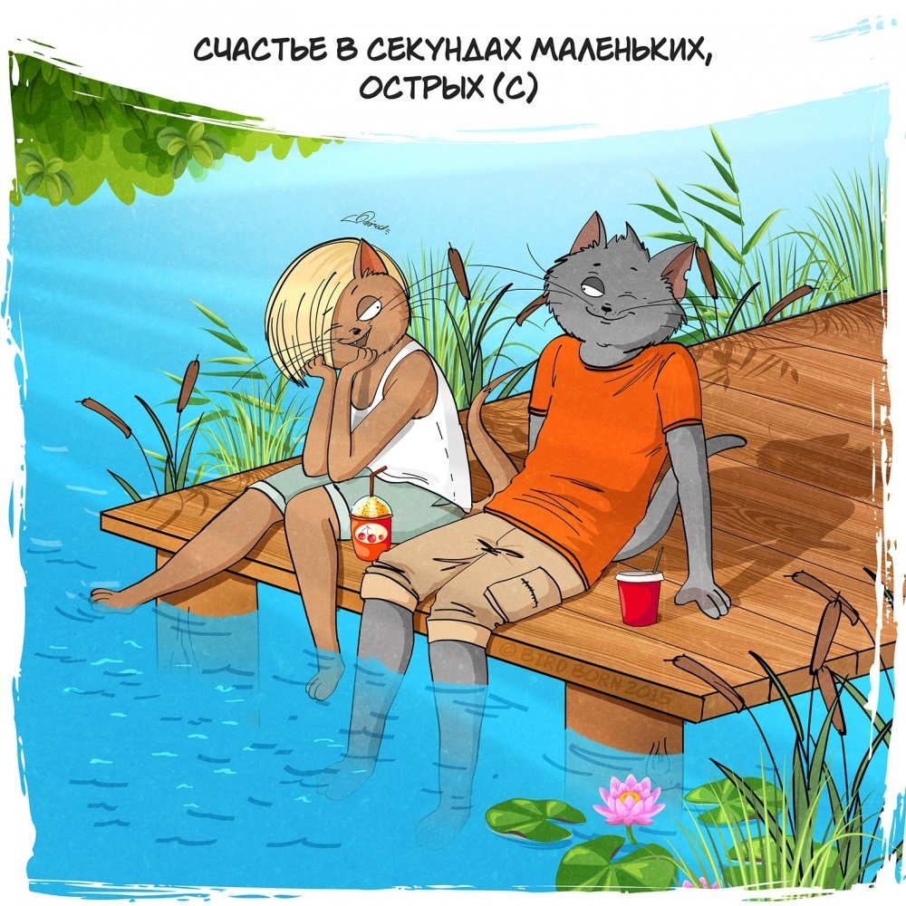 Житейский юмор в картинках