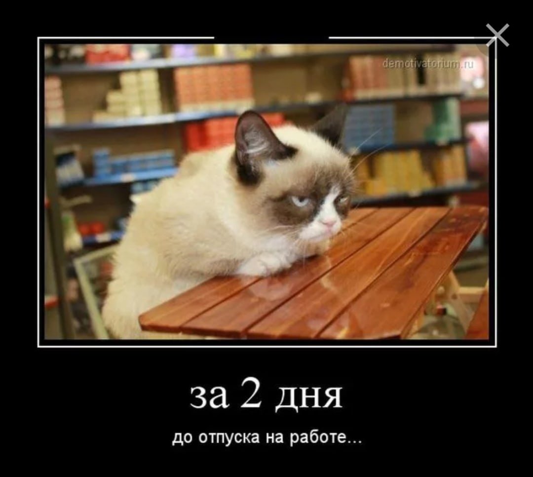 Два дня до отпуска