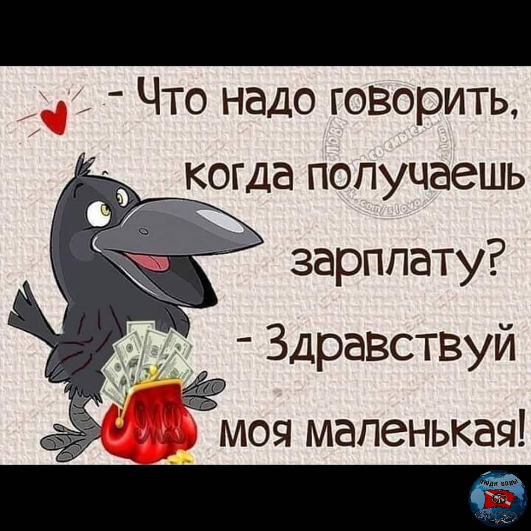 Цитаты про жизнь прикольные и интересные