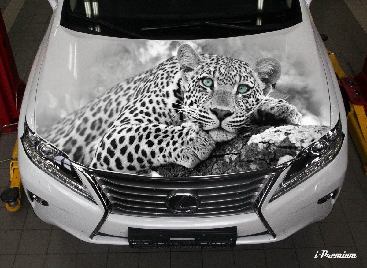 Аэрография на капот автомобиля