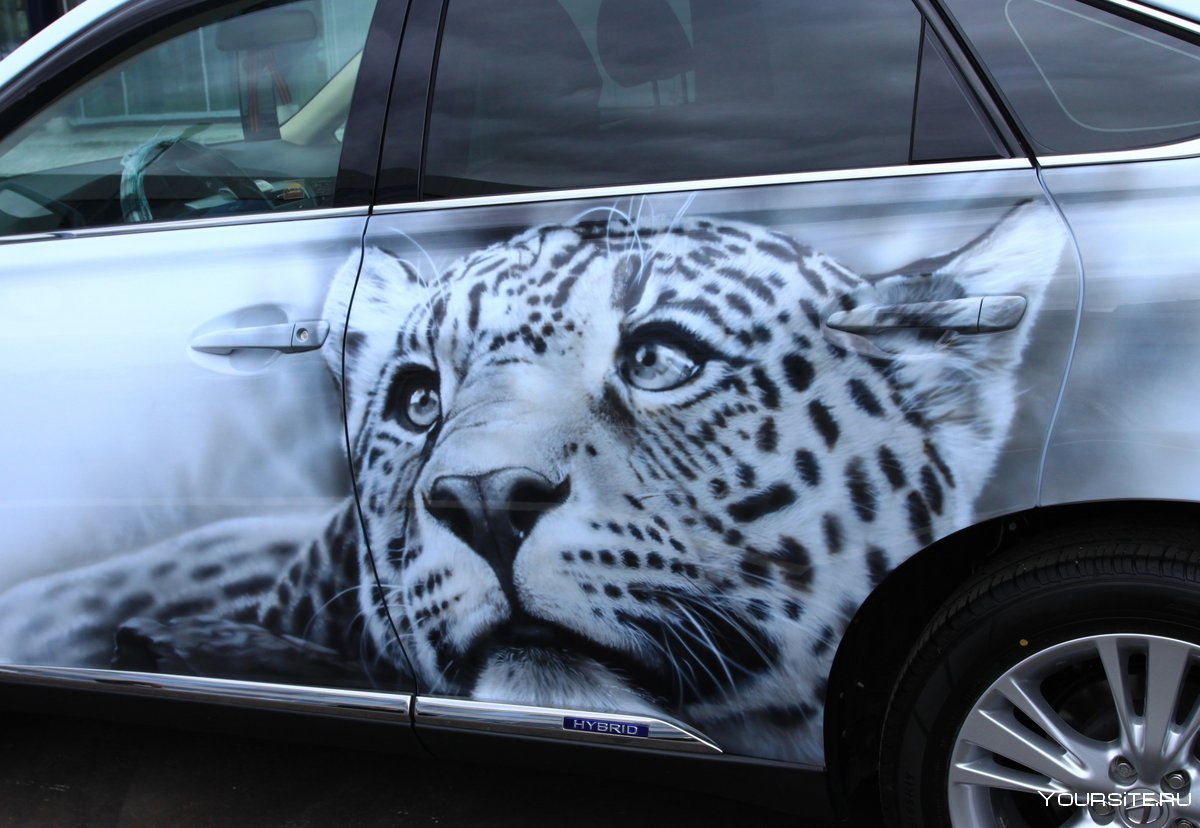 Аэрография на машине