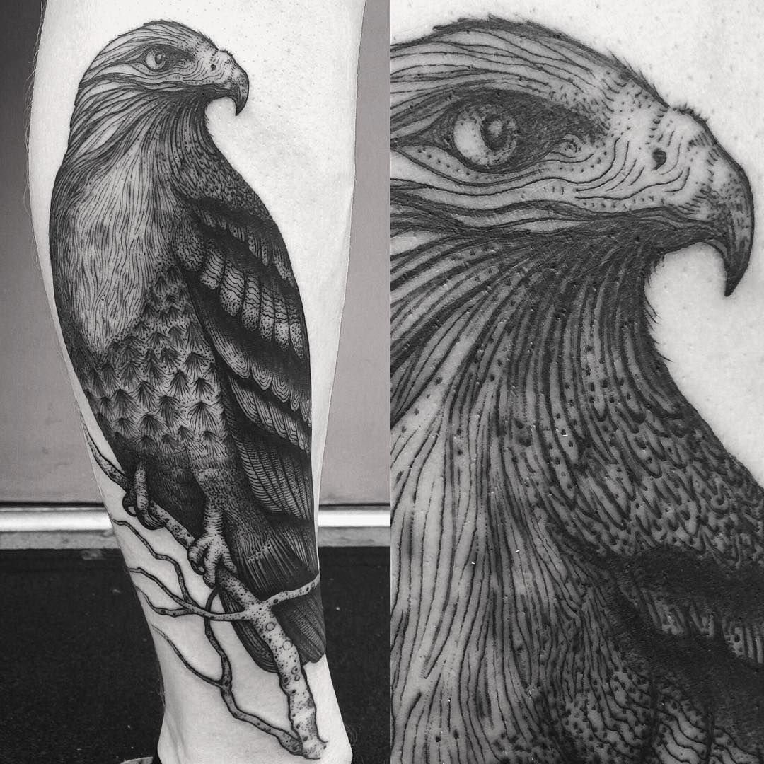 Сокол Сапсан в городе