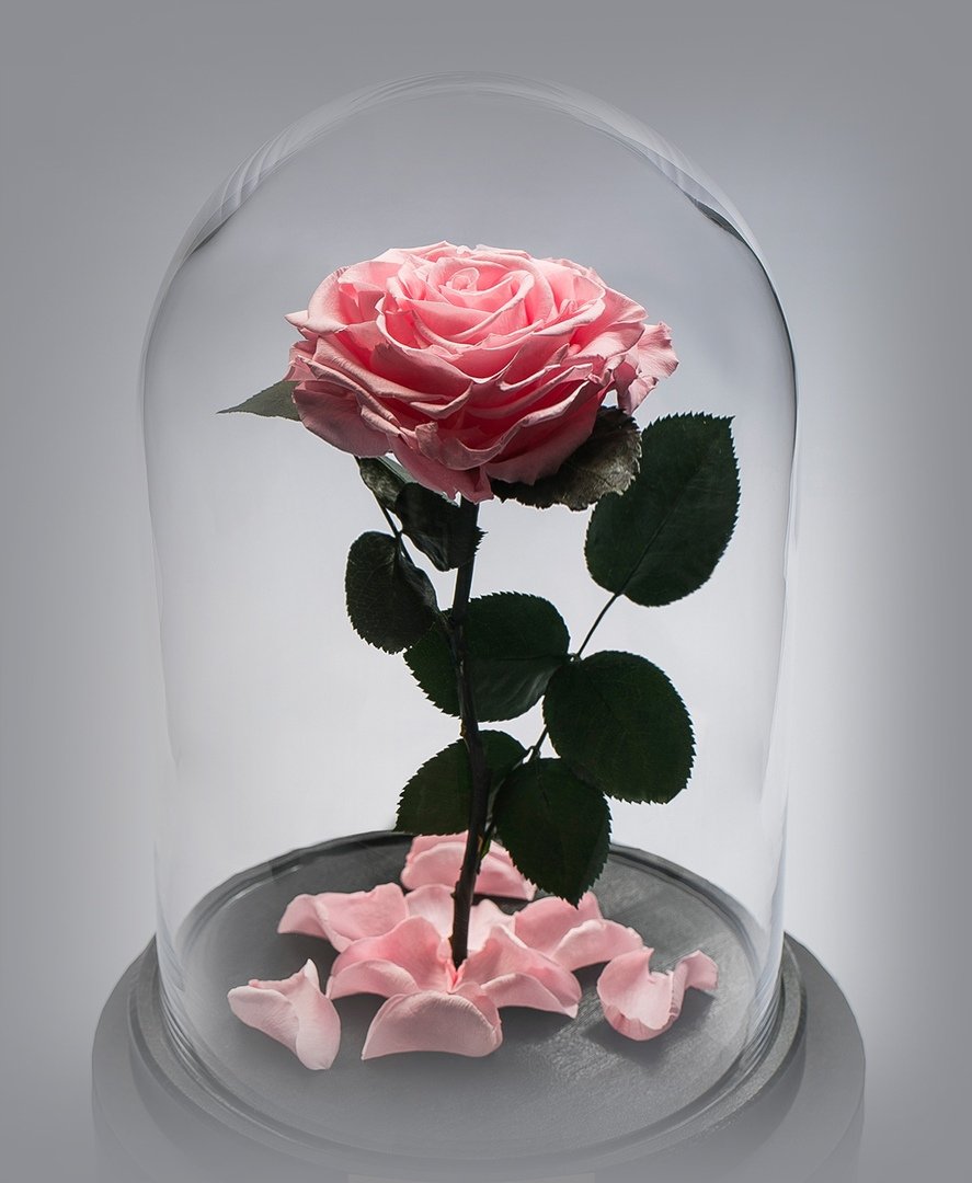 Кофе с цветами и сладостями