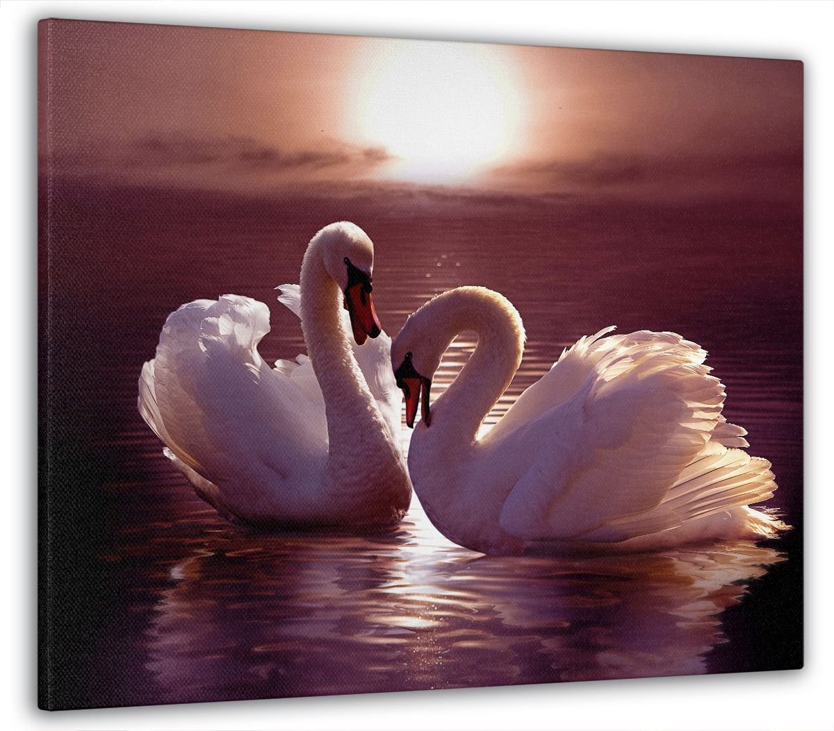 Любовь и лебеди