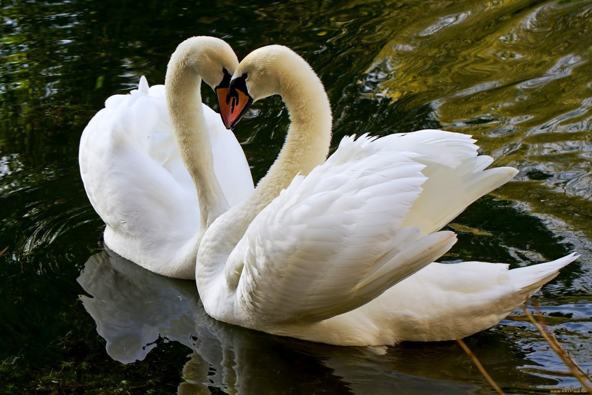 Любовь к природе