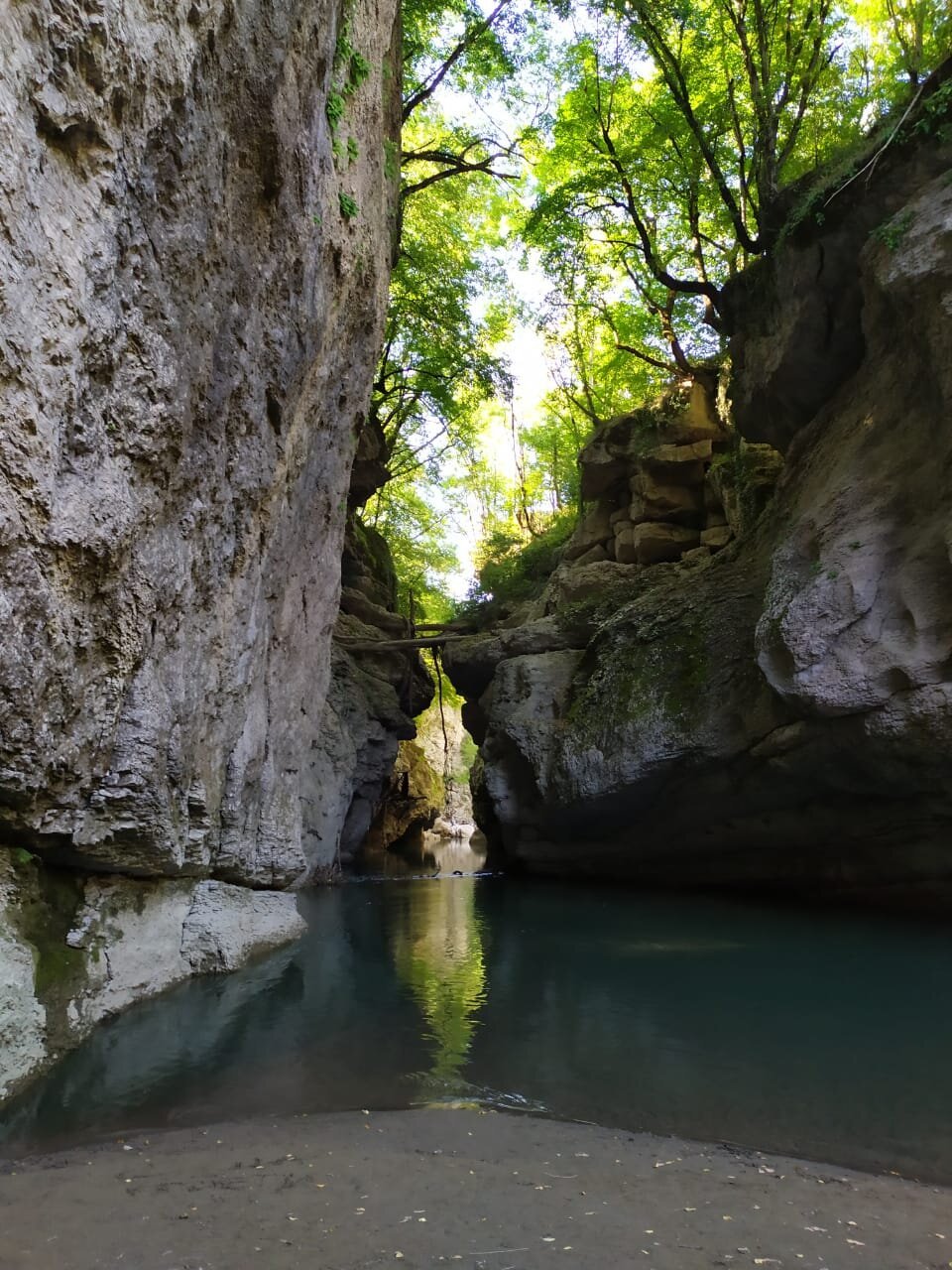 Природа Краснодарского края