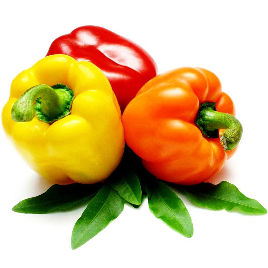 Capsicum annuum сладкий перец