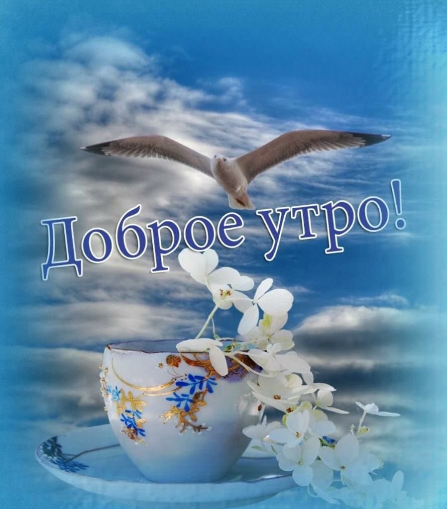 Открытки с добрым утром Венера