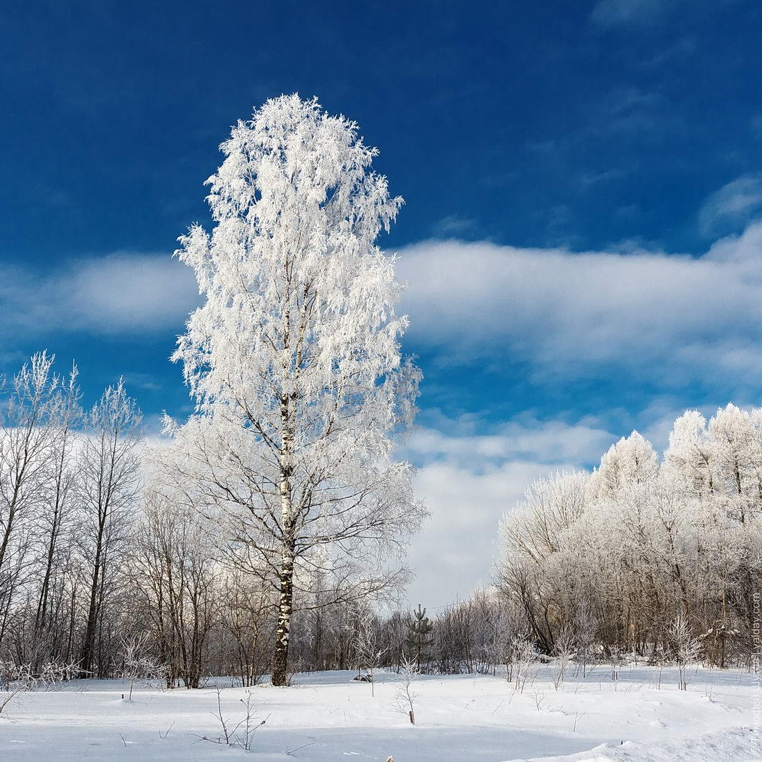 Валдайский национальный парк зимой