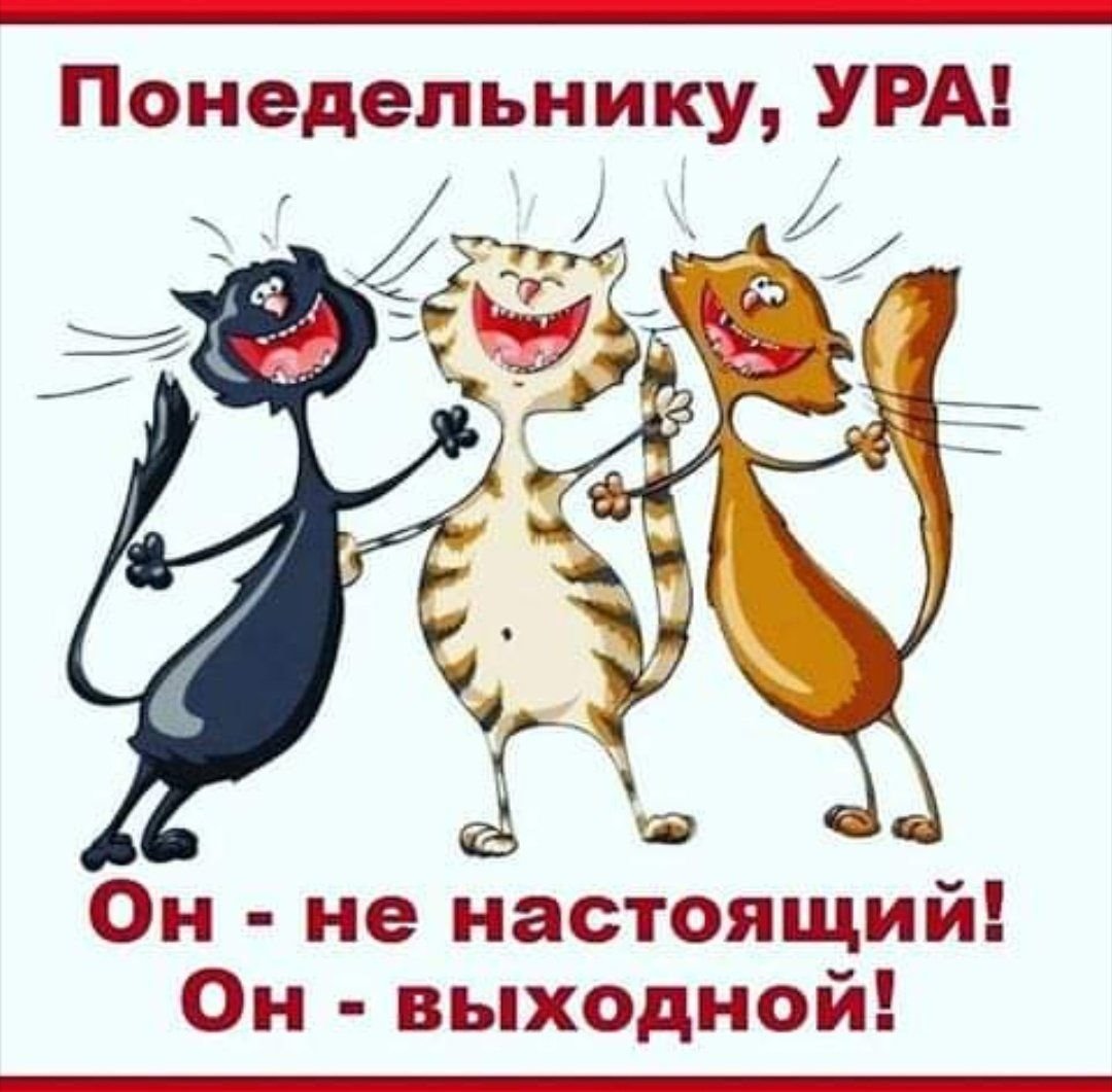 Понедельник выходной