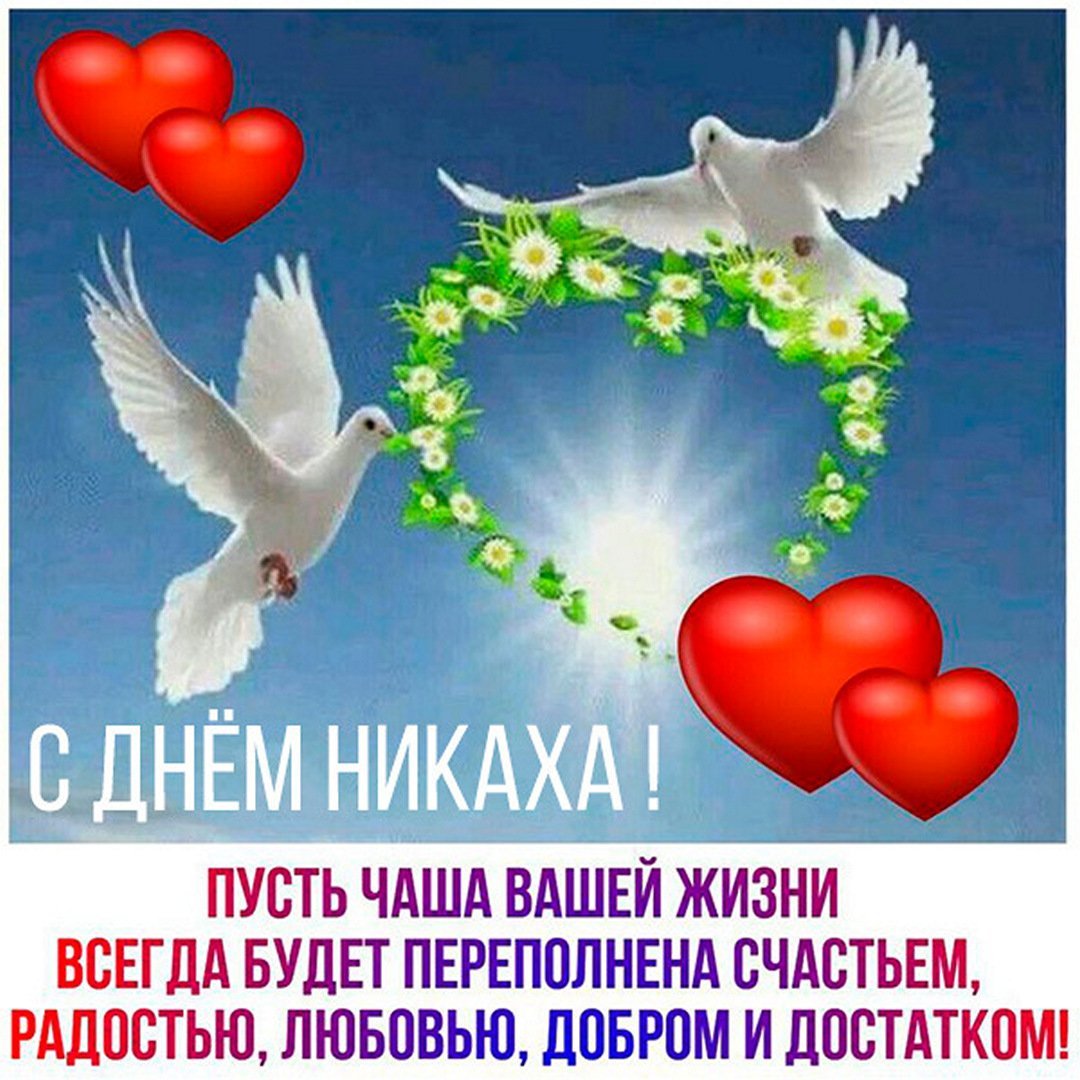 Свадебные голуби