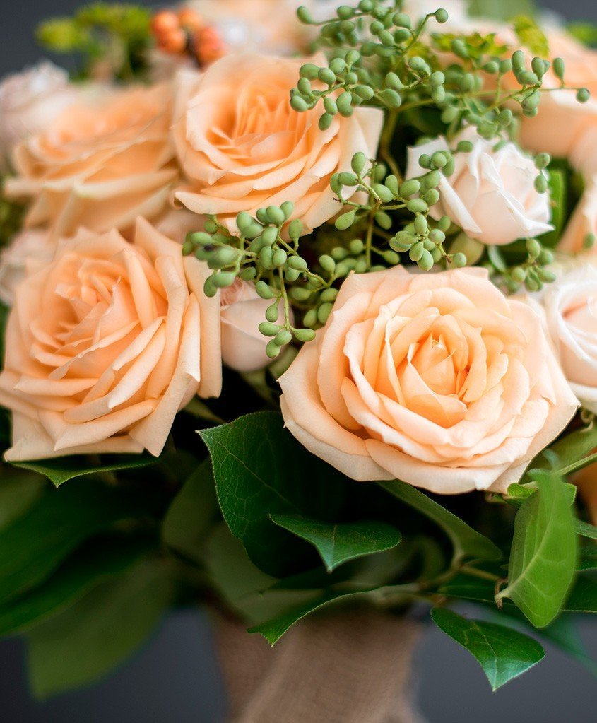 Красивые персиковые розы