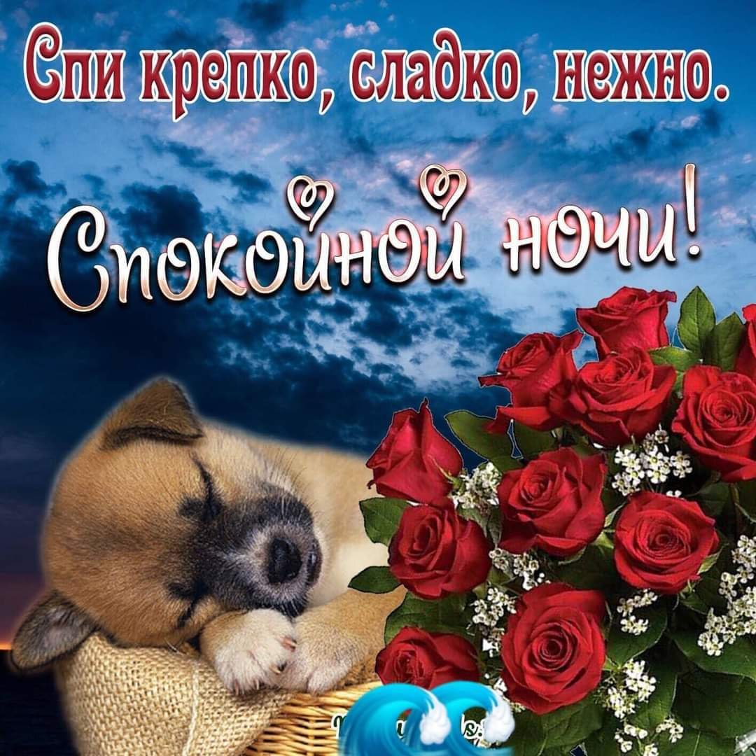 Позитивные пожелания на каждый день