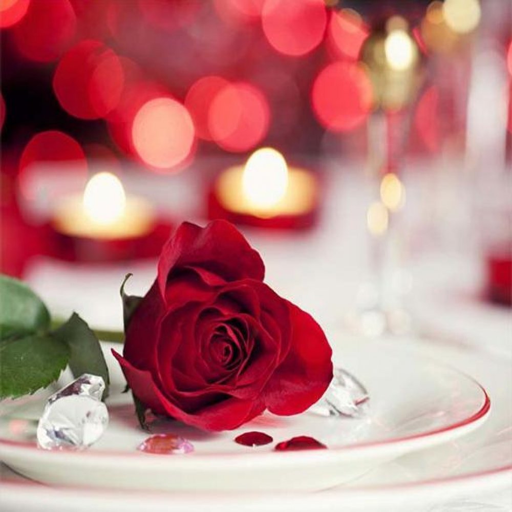 Ангела ко сну