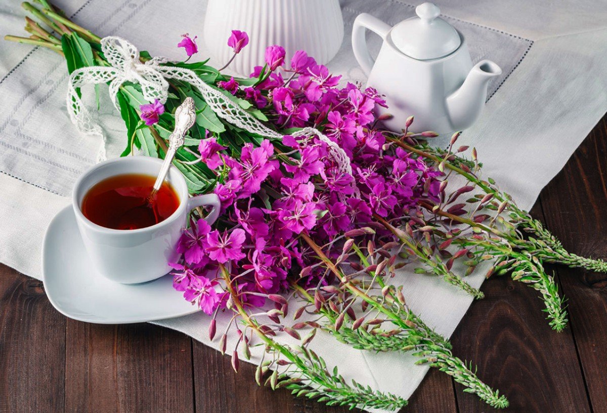 Иван чай Винтаж