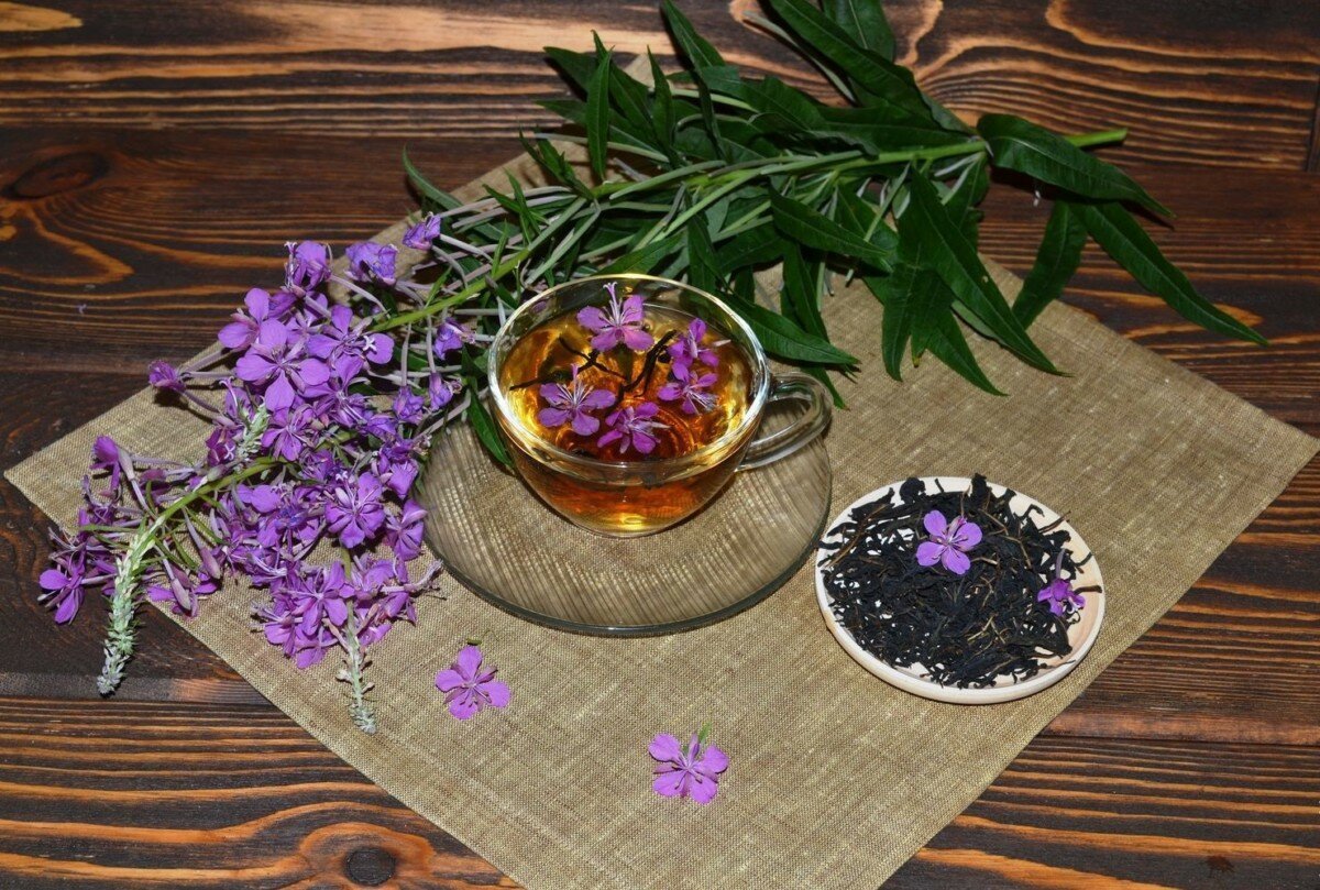 Фитопрепараты Иван чай