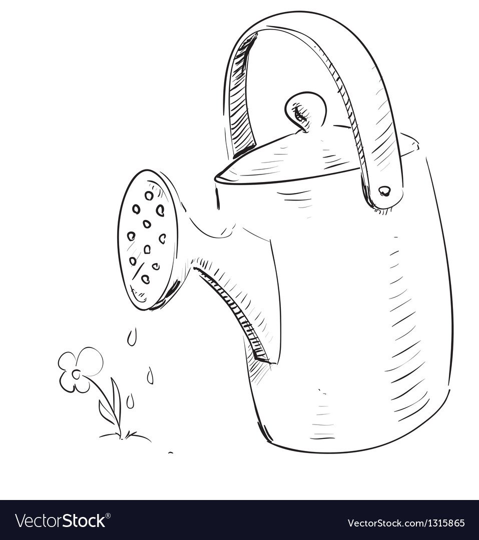 Лейка с водой на белом фоне