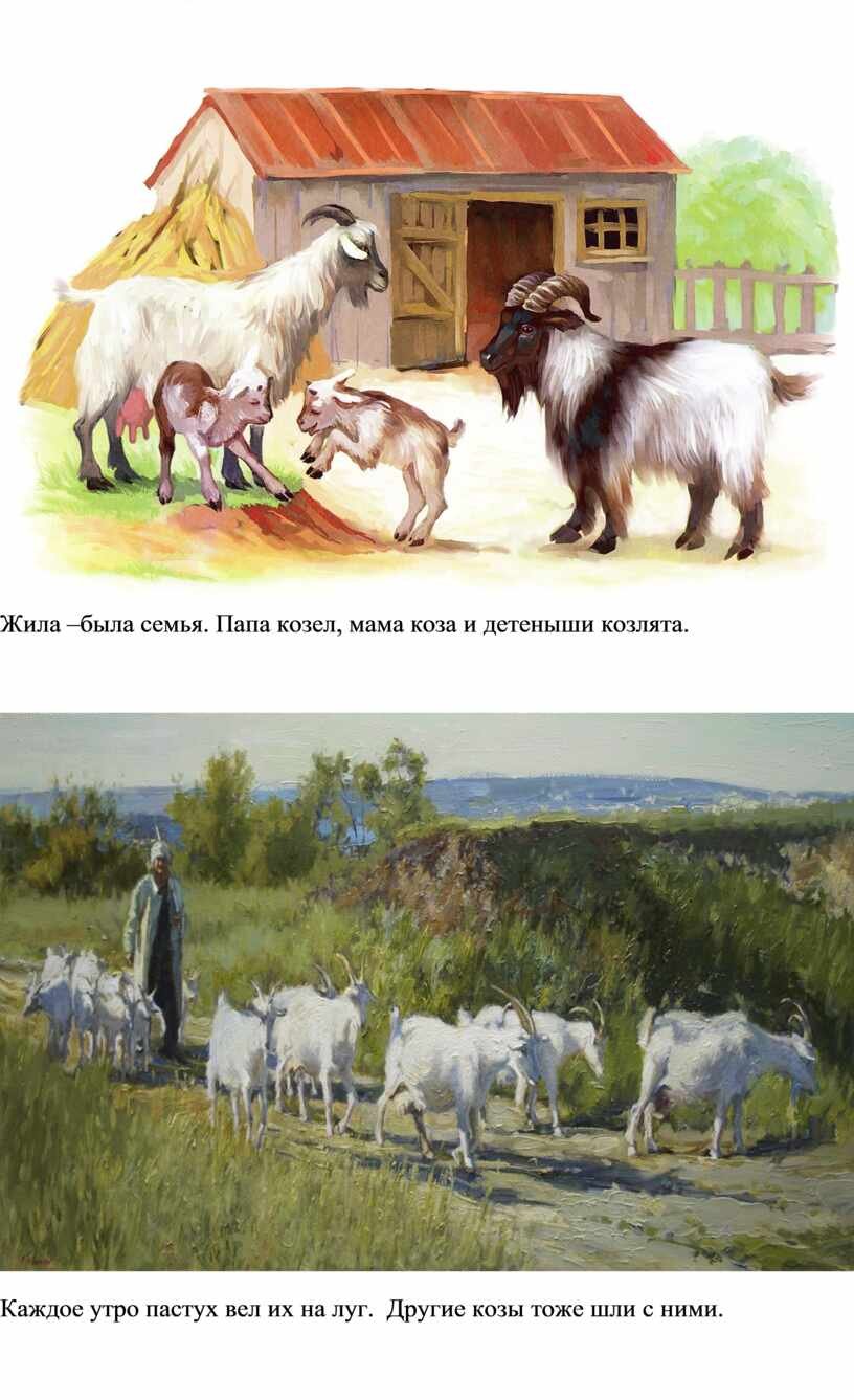 Веретенникова домашние животные