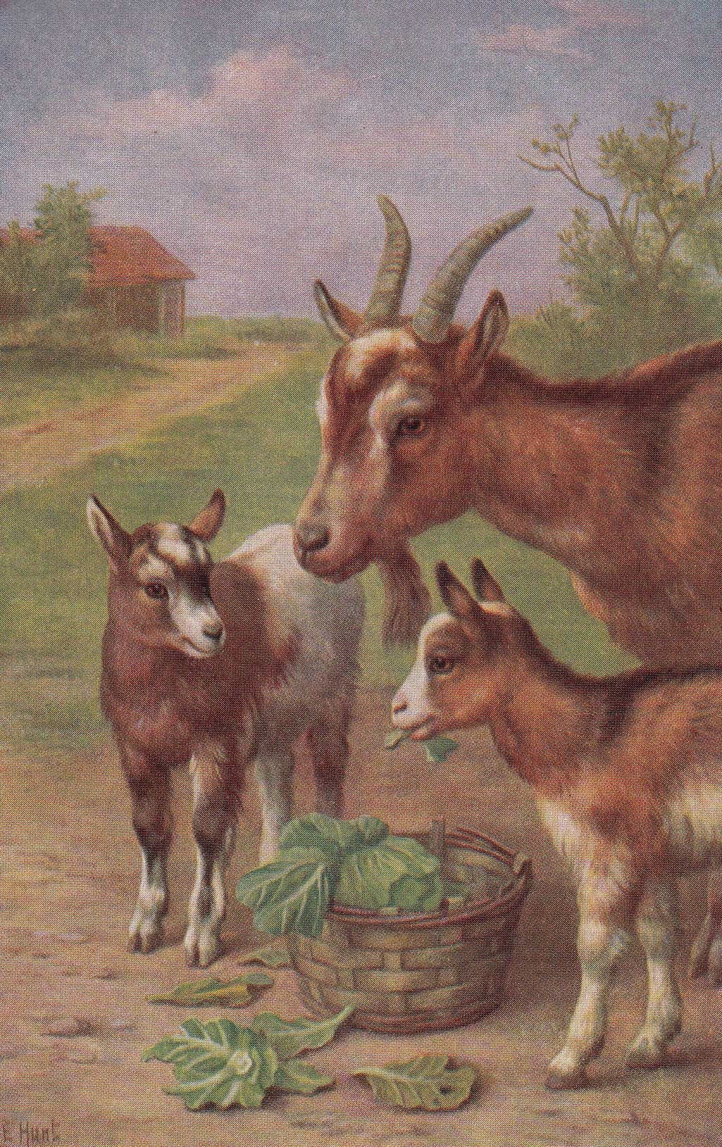 Картина коза с козлятами Веретенникова