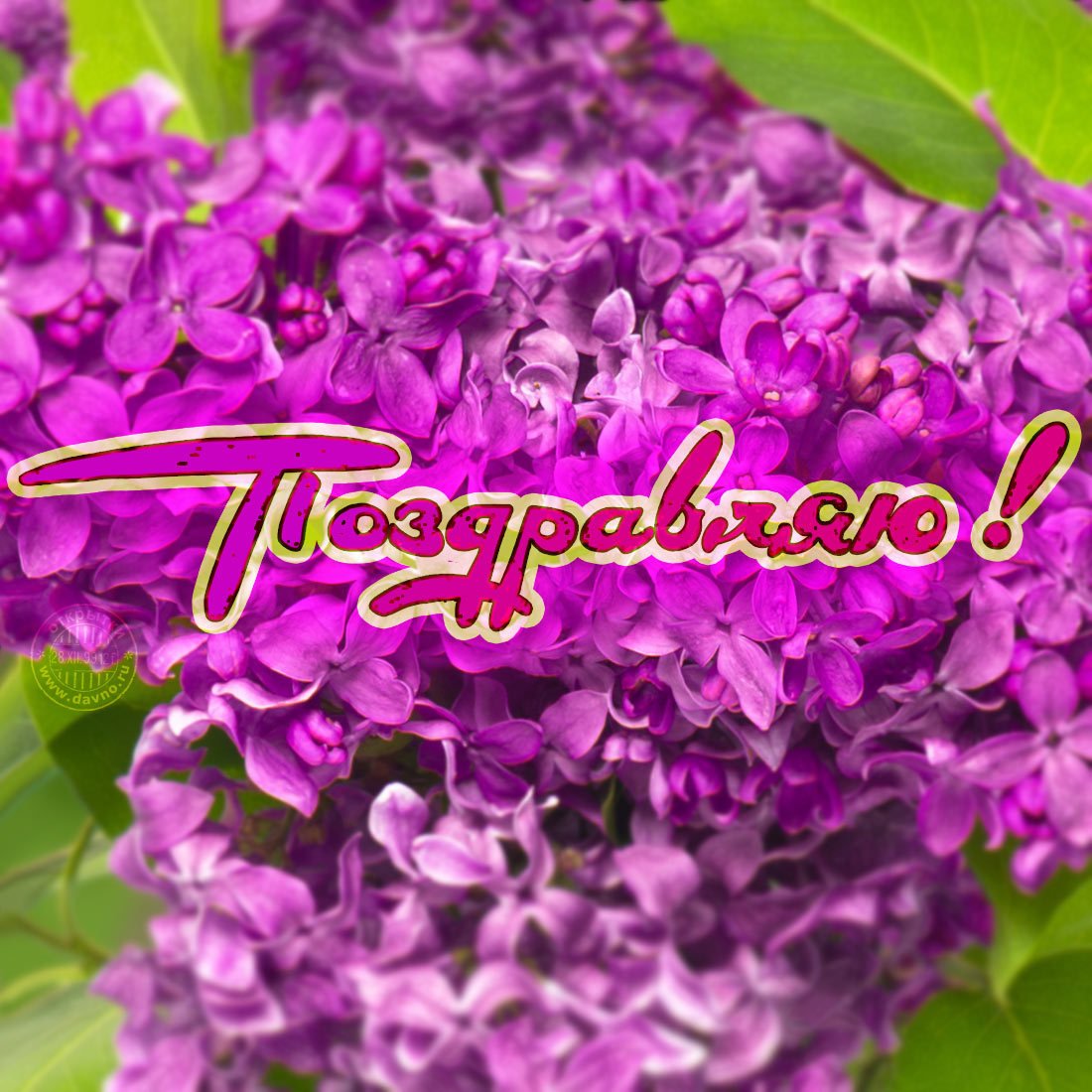 С днём рождения сирень