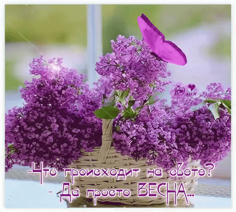 Утро Весна сирень