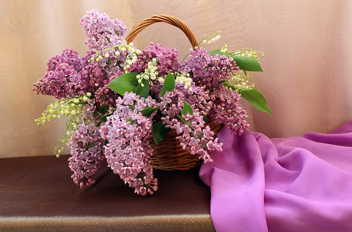 Пожелания с добрым майским утром