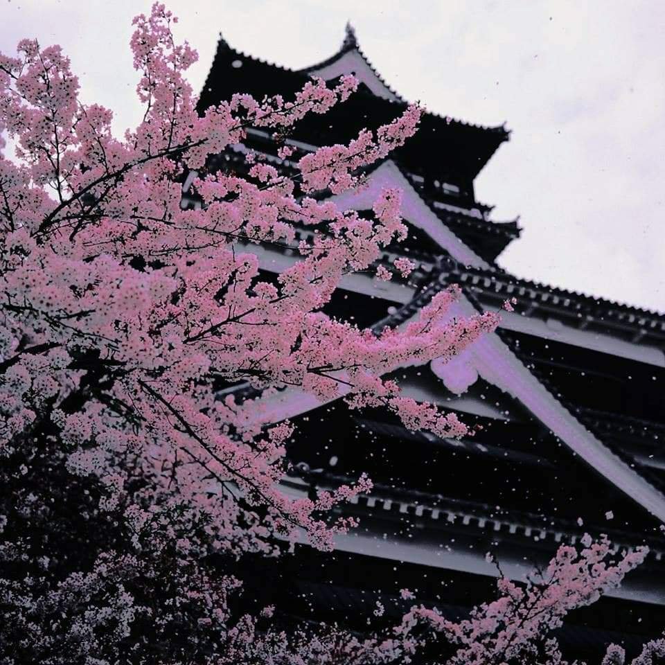 Тату пейзаж в японском стиле