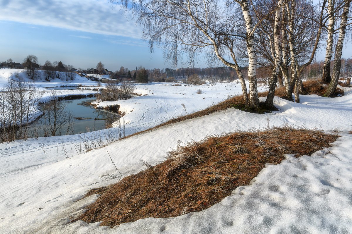Проталины картинки для детей