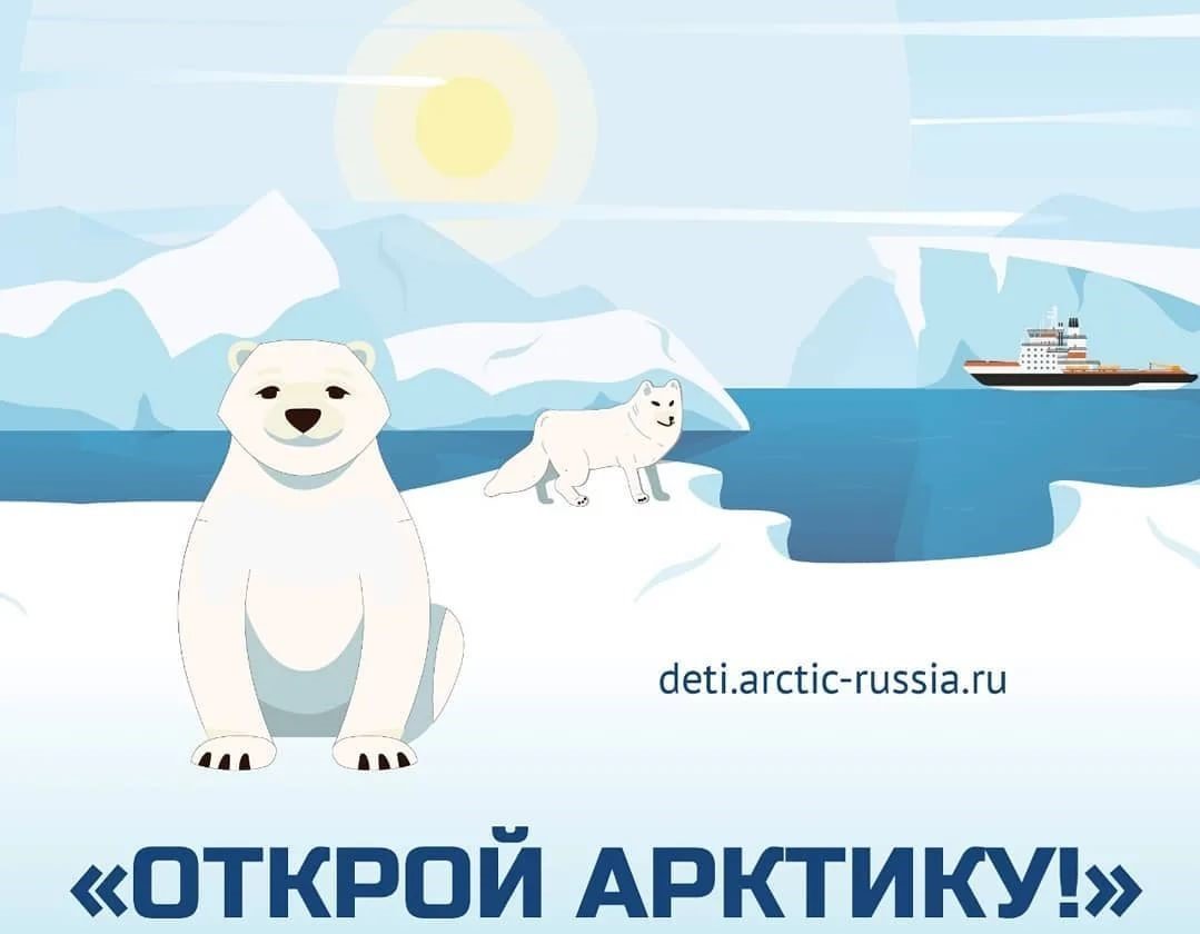 Арктика для детей