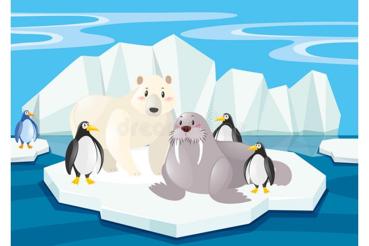 Обитатели Арктики для вырезания