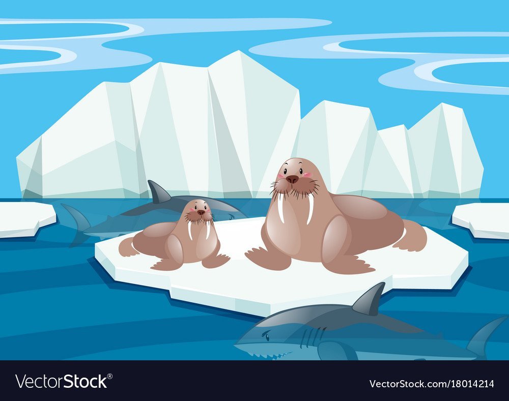 Арктика рисунок