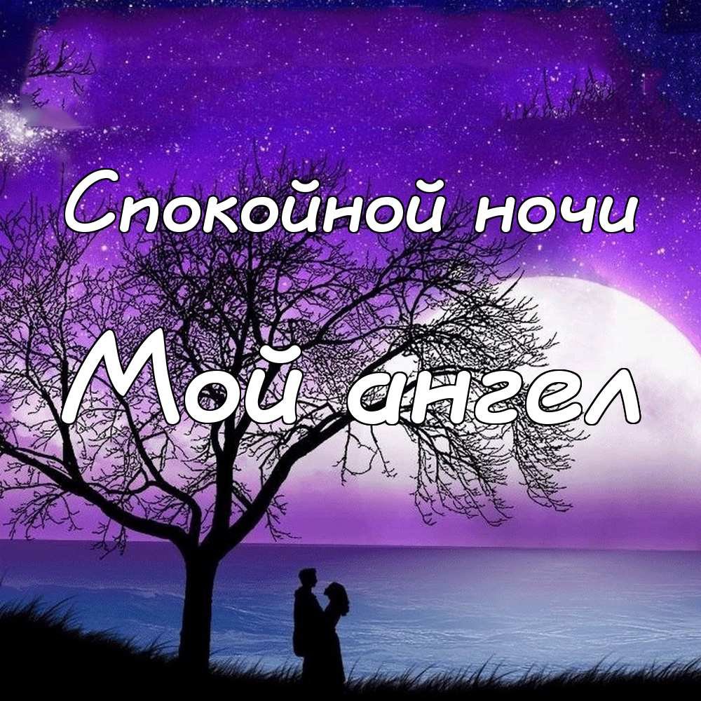 Пожелания спокойной ночи