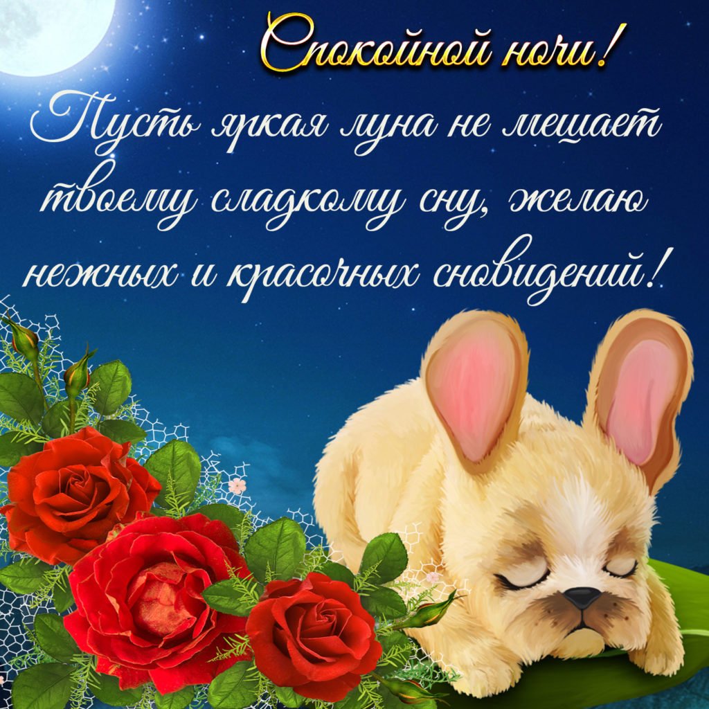 Доброй ночи картинки пожелания новые