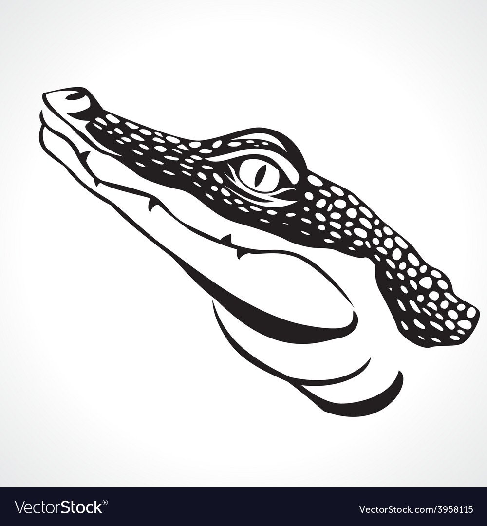 Голова крокодила стилизованная