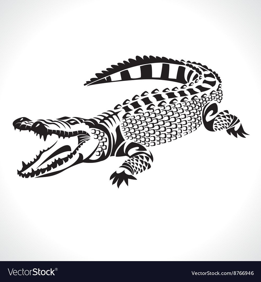 Крокодил стилизация