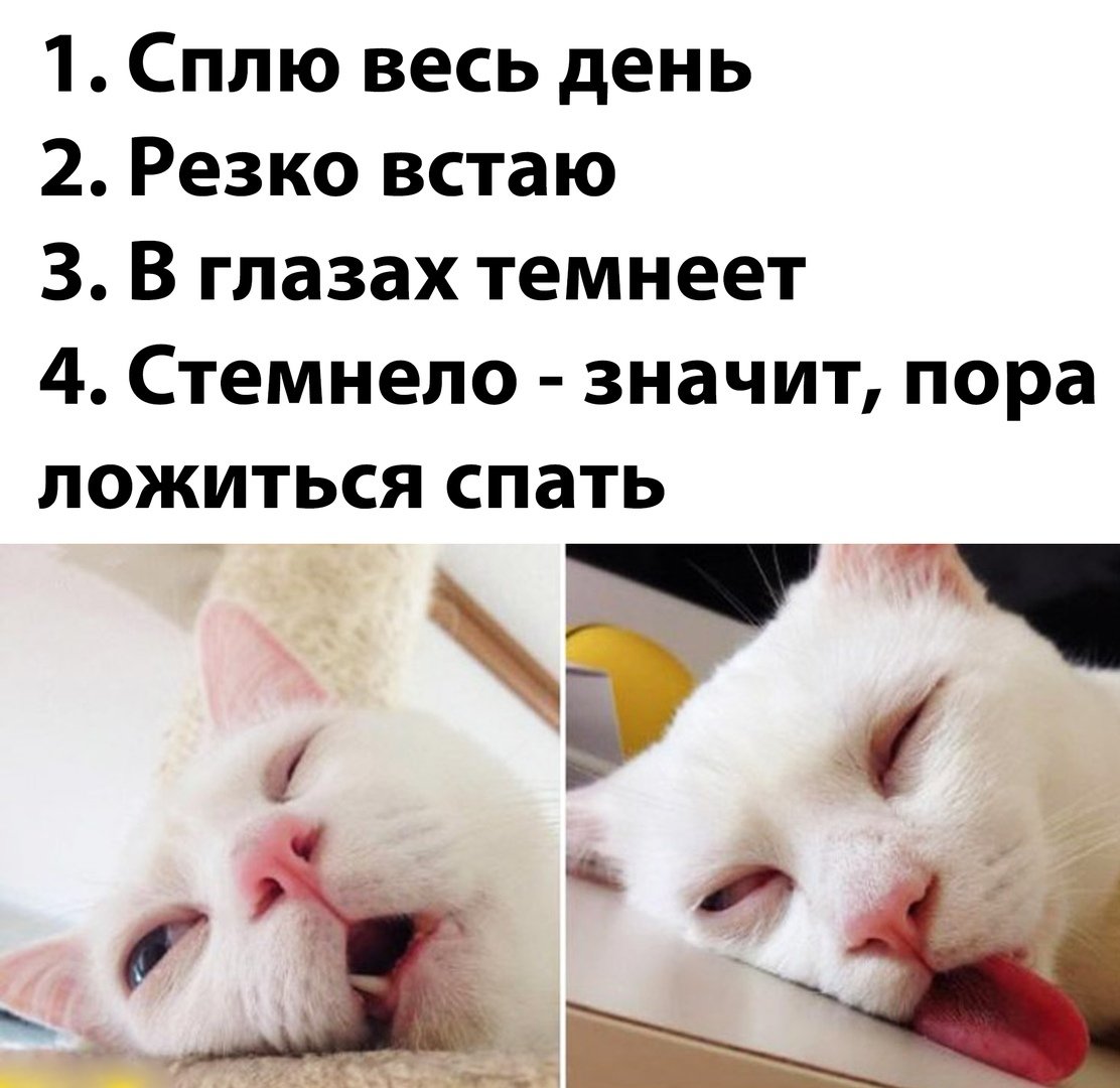 Спать прикол
