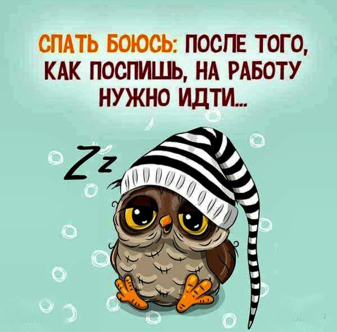 Спокойной ночи Котоматрица