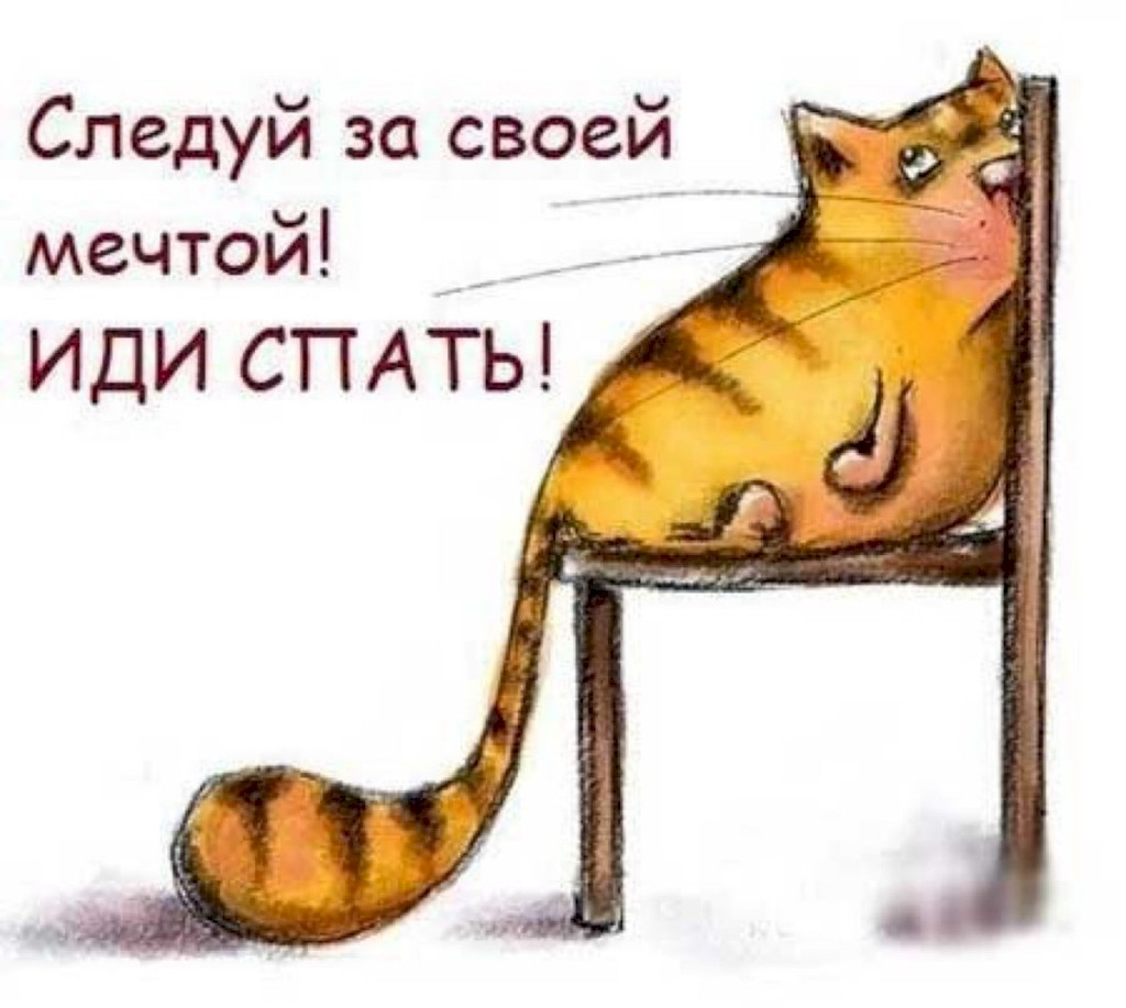 Слелуй за своей мечтой или спать