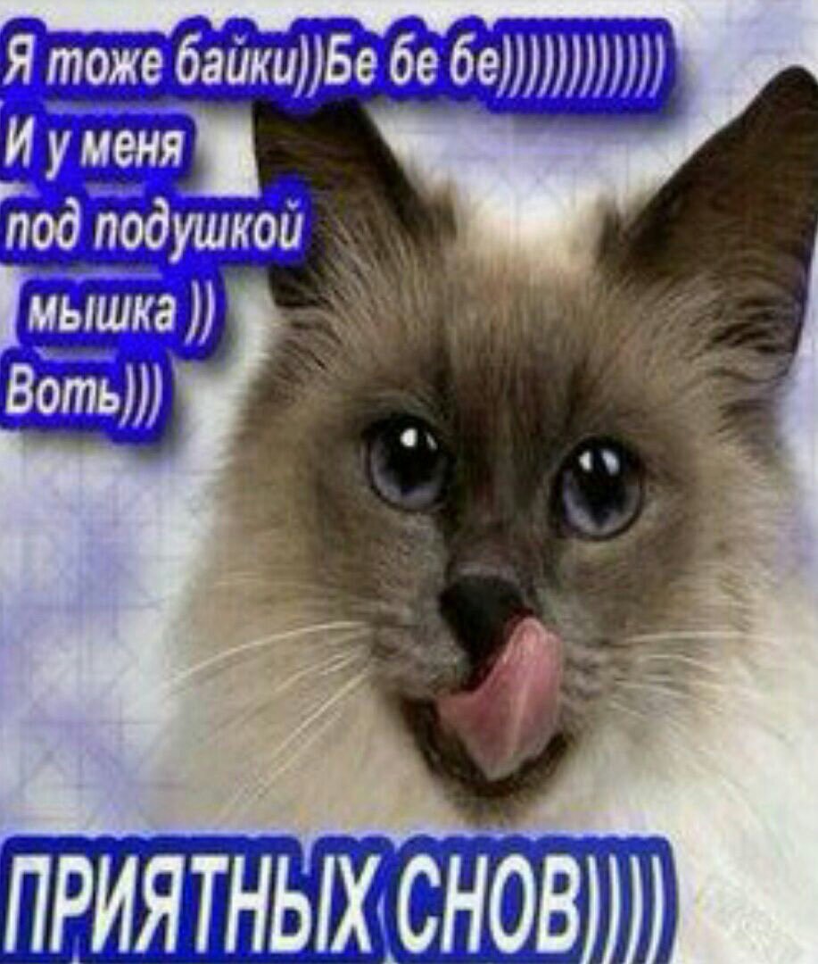 Я вчера опять легла сегодня