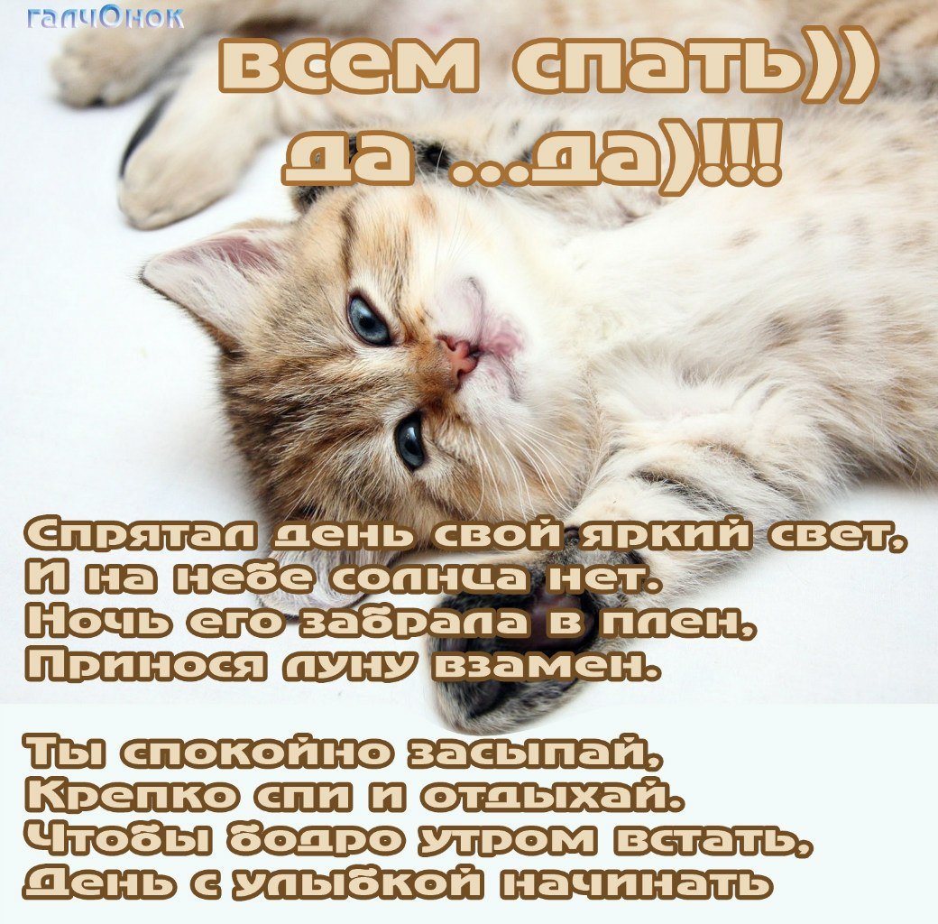 Тимон из мультика Король Лев