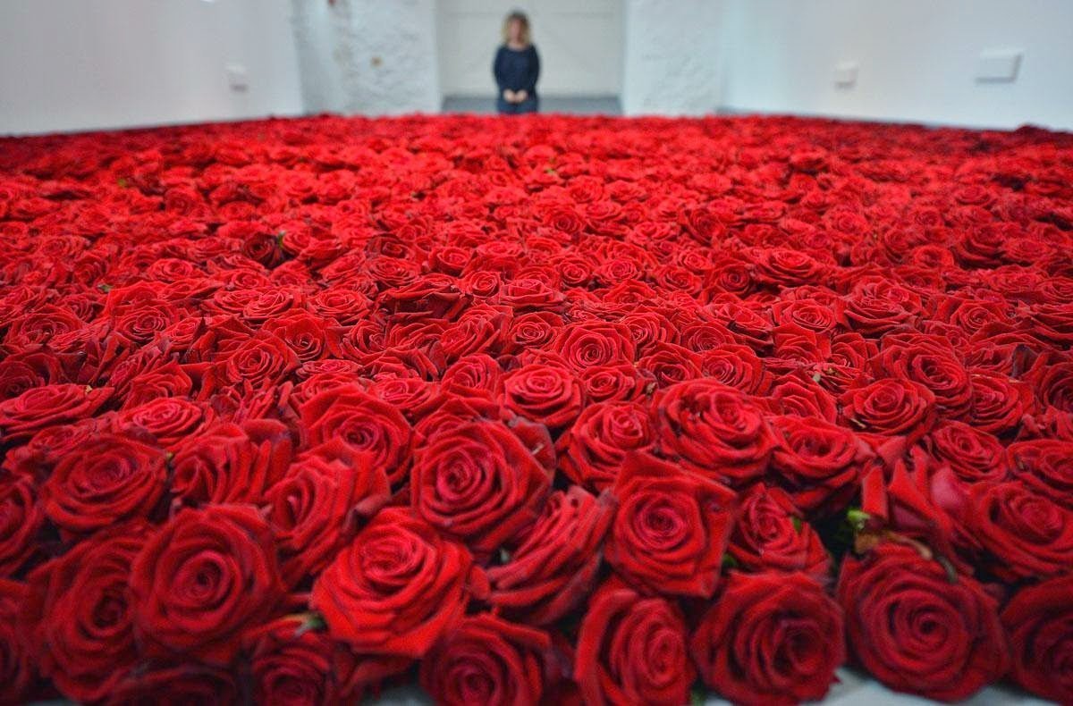 Миллион красных роз