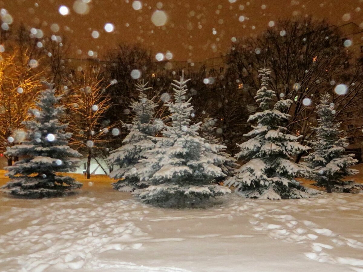 Красивый снегопад