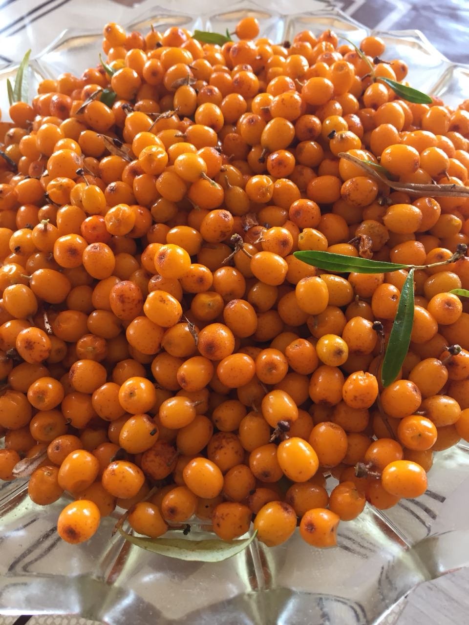 Облепиха Эссель