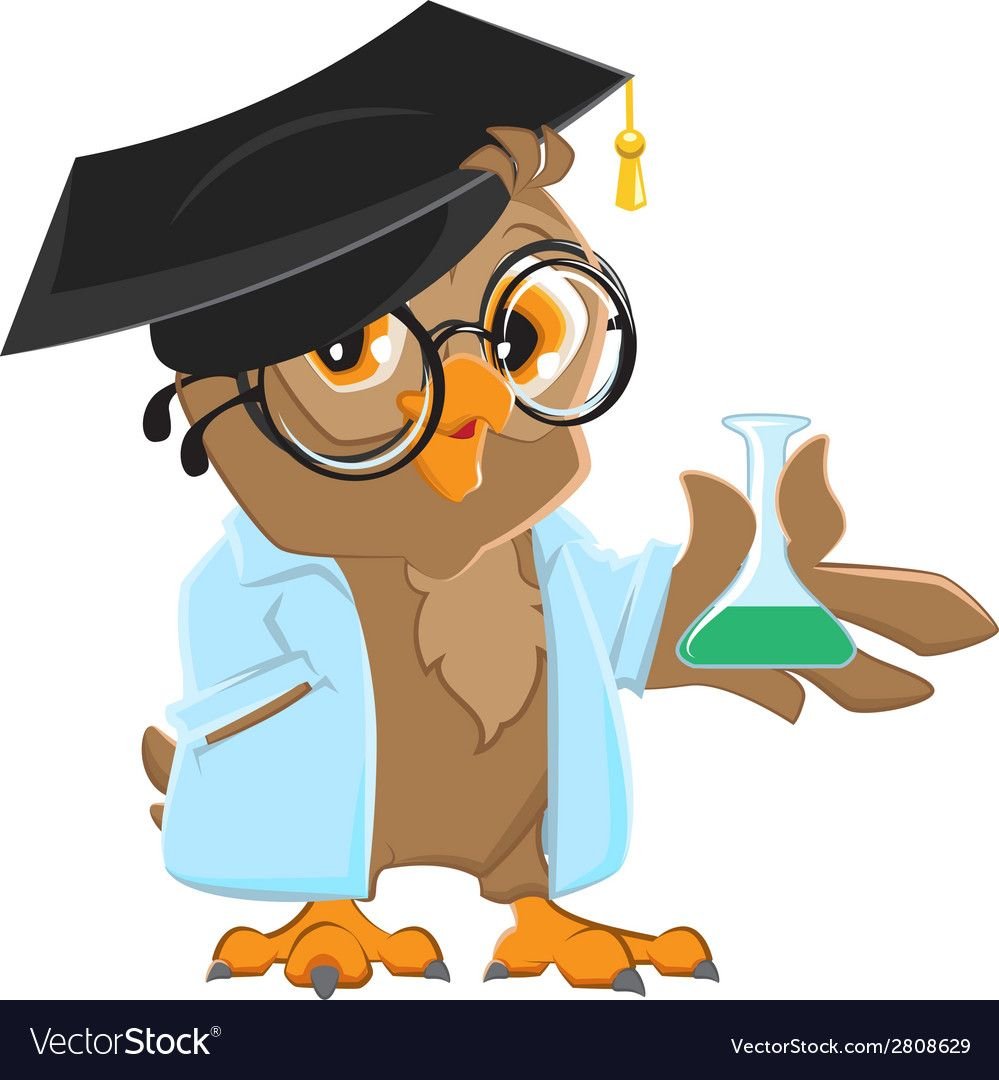 Познавайка для детей