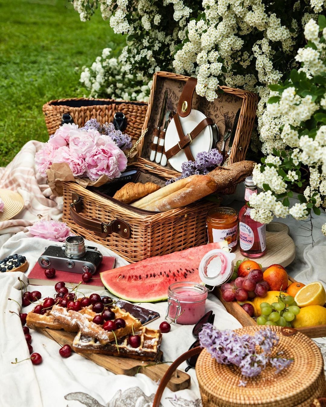 Пикник на природе