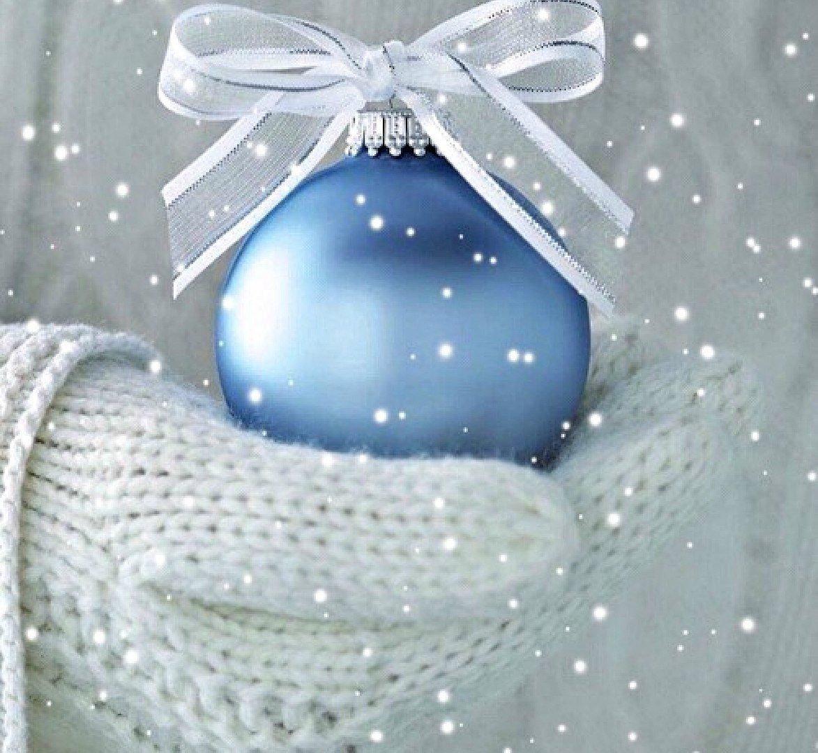 Ждун Мона Лиза