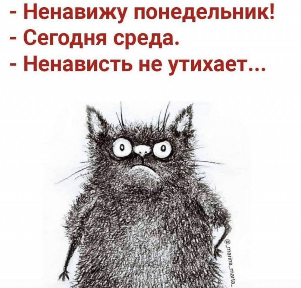 Расслабься это Россия Медведев Мем